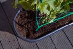 green basics jardiniere treillis 80cm living noir